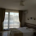 Palm Deluxe