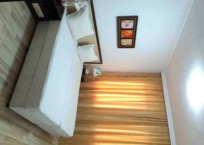 Palm Deluxe Napospart